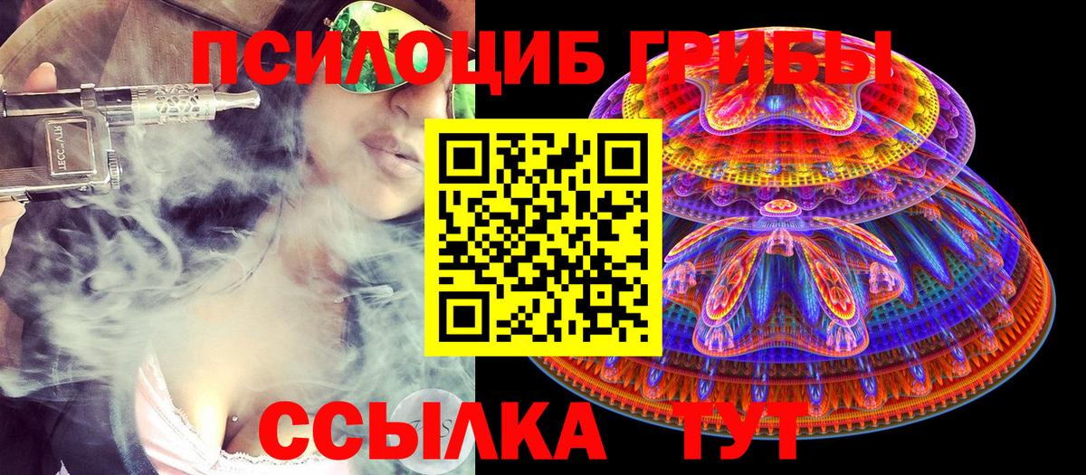 Псилоцибиновые грибы MAGIC MUSHROOMS  Вход с VPN  Пугачёв  Галлюциногенные грибы MAGIC MUSHROOMS 